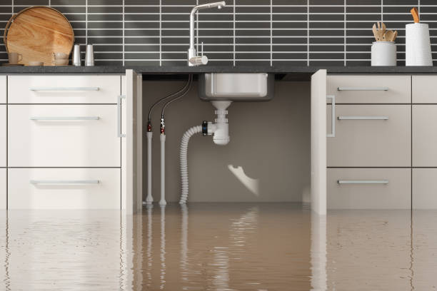 Best Ceiling water damage repair  in Big Sandy, TX